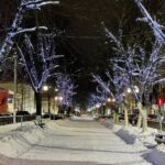 Тур Тверь-Старица-Лихославль со встречей Нового года