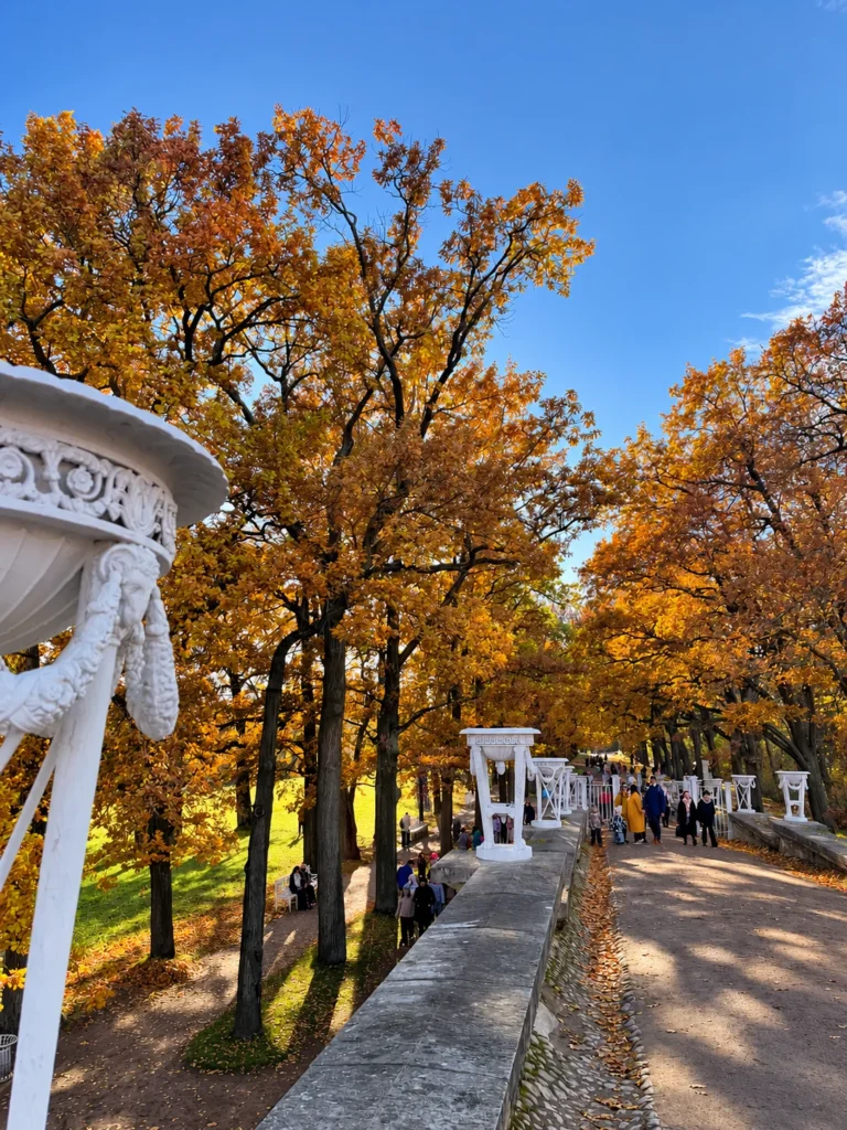 Четыре грани Петербурга, 4 дня