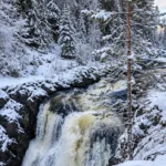 Новый год в Петрозаводске и гуляния в деревне Киндасово — фото 5